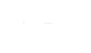 gopro 300x175 white